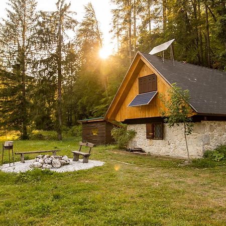 Marko'S Eco Cabin Bled Exterior photo